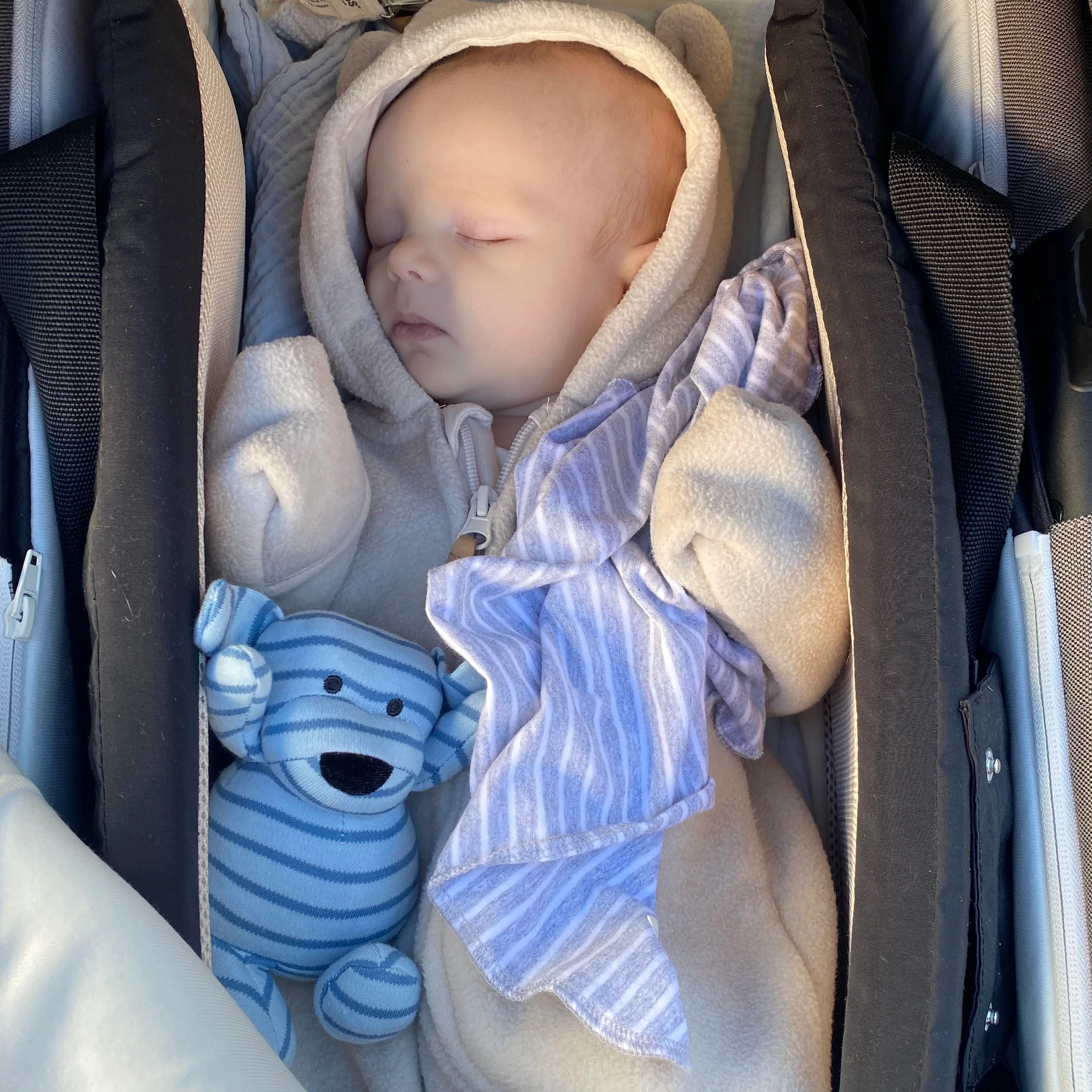 Mini Doddi Blårandig - Image 2