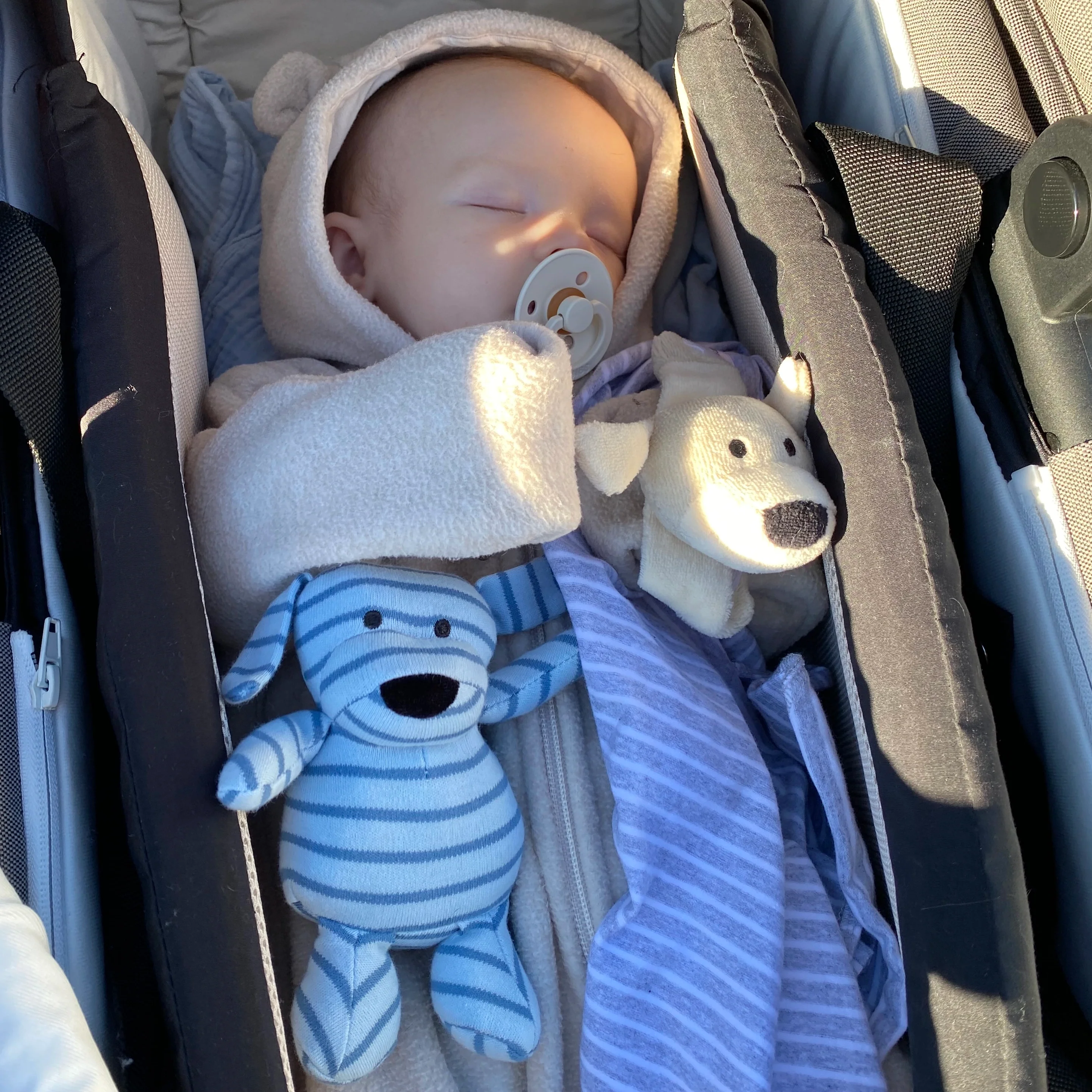 Mini Doddi Blårandig - Image 4